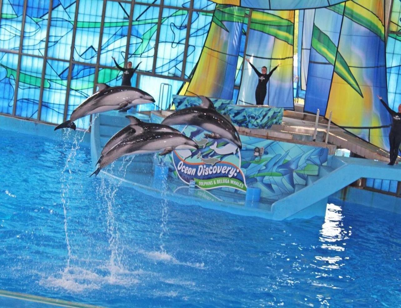 Gameroom, Bbq & Hot-Tub By Lackland & Seaworld سان أنطونيو المظهر الخارجي الصورة